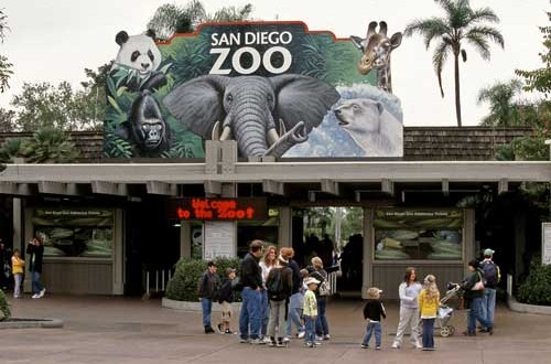 Зоопарк в Сан-Диего