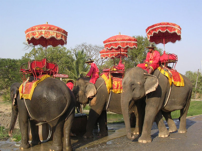 Путешествие на слонах