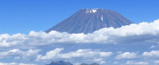 Guayaquil et les Îles Galápagos : Trésor Naturel de l’Équateur